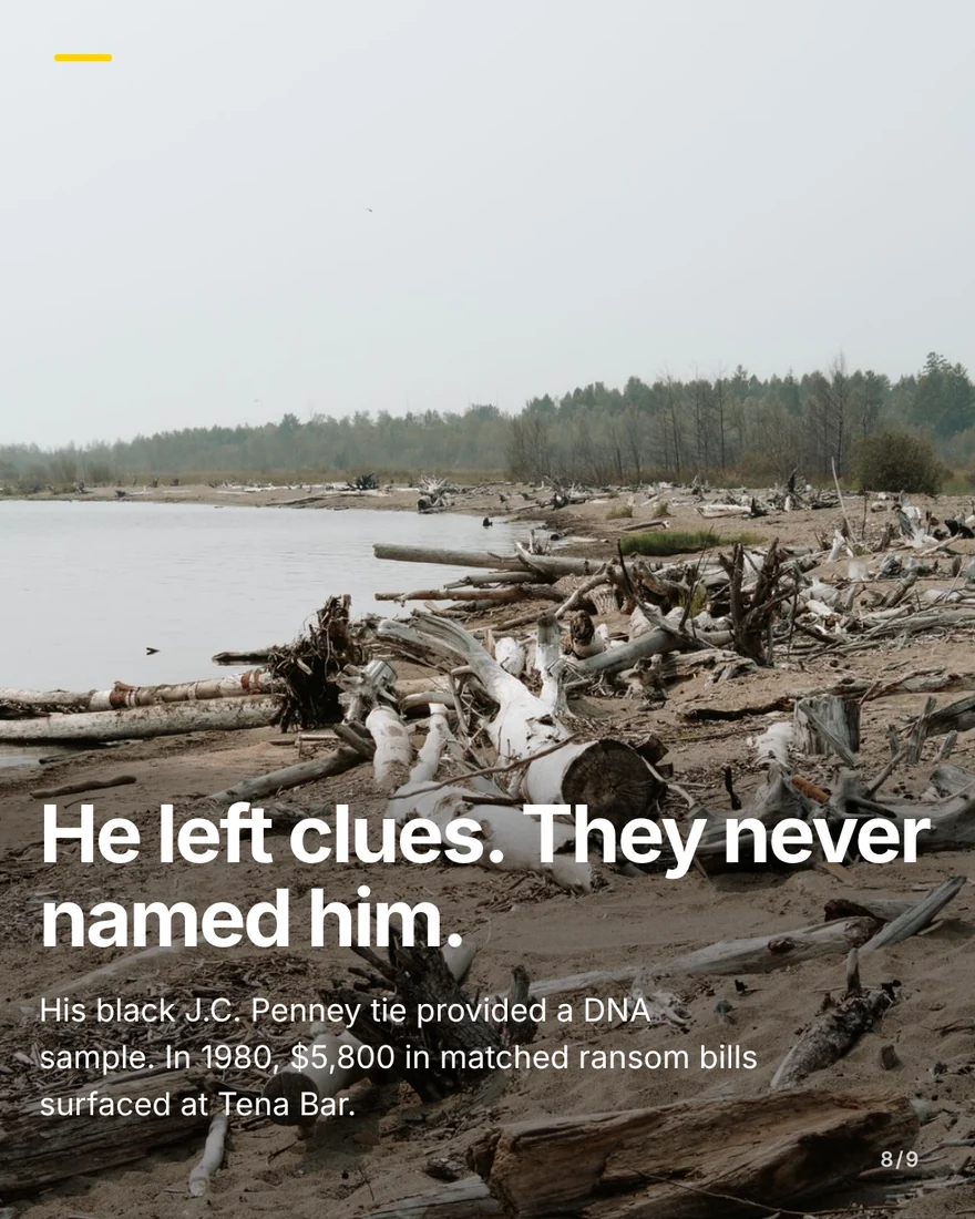 Slide eight: bleached driftwood piled along a sandy river shore under a grey sky, under the headline “He left clues. They never named him.”