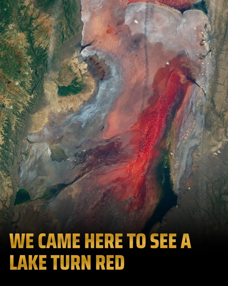 A Broadcast slide: gold capitals reading “We came here to see a lake turn red” on a black band under a satellite image of Lake Natron, its water streaked deep red and pink.